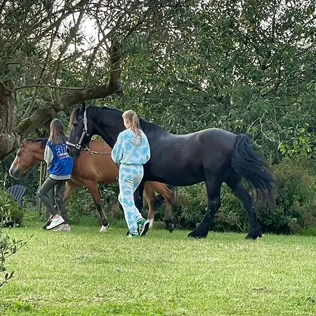 Le Clos Du Bas Courtil Omaha Osmanville