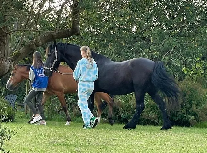 Le Clos Du Bas Courtil Omaha Osmanville